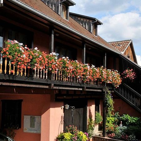 Gite Weyer Numéro 2 Bergheim Extérieur photo